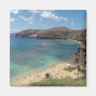 Imã Baía Havaí de Hanauma