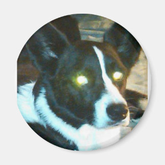 Imã Bailey