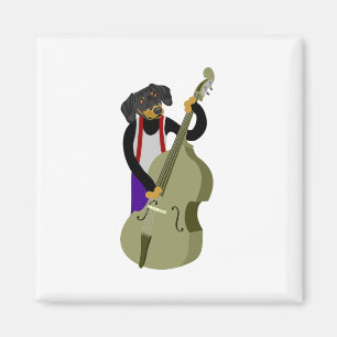 Imã Baixista do jazz do Dachshund