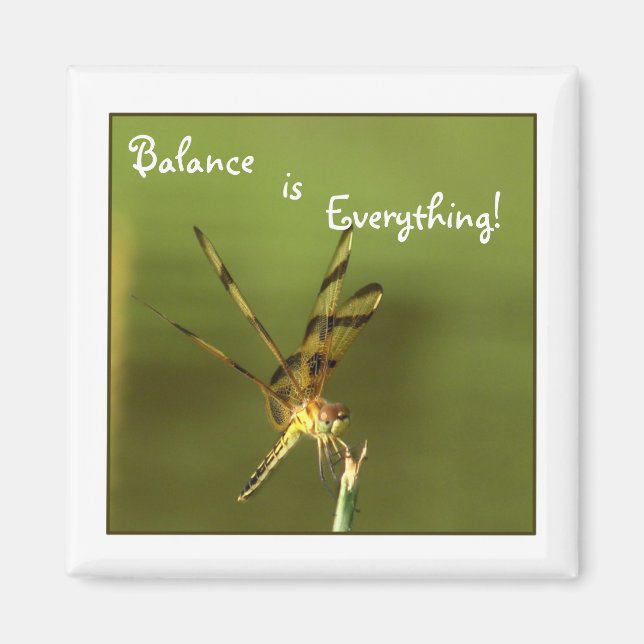 Imã Balanceamento de Dragonfly Magnet 2 (Frente)