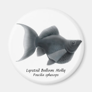 Imã Balão Molly de Lyretail