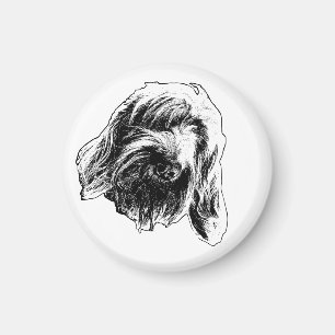 Imã Balcão Quente Spinone