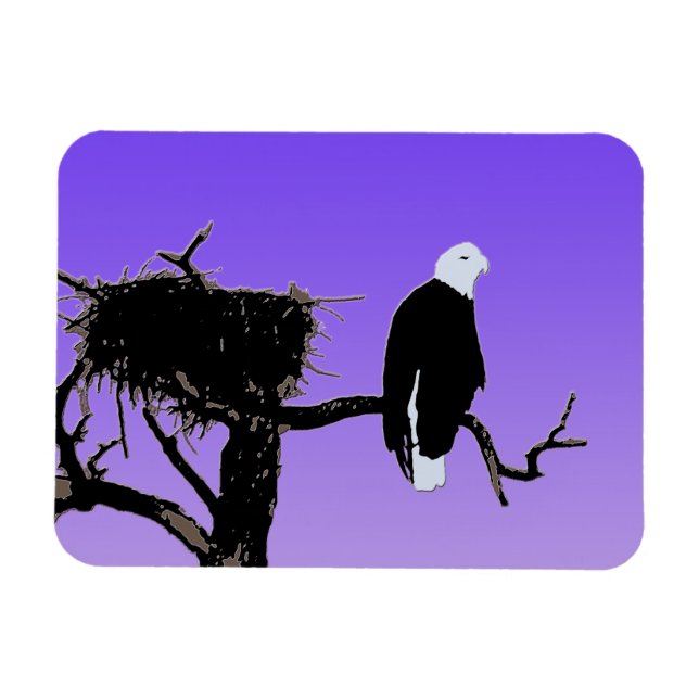 Ímã Bald Eagle em Sunset - Arte original sobre a vida  (Horizontal)