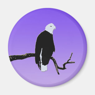 Imã Bald Eagle em Sunset - Arte original sobre a vida 