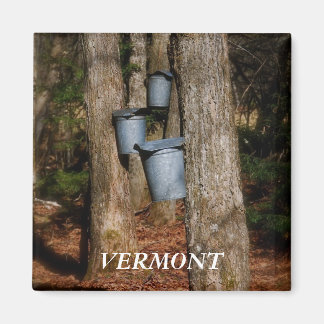 Imã Baldes Vermont Sap