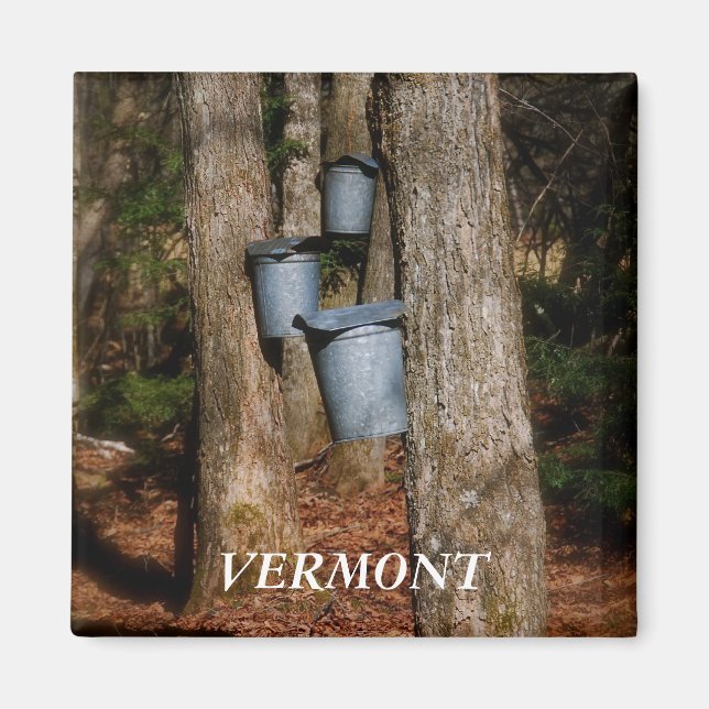 Imã Baldes Vermont Sap (Frente)