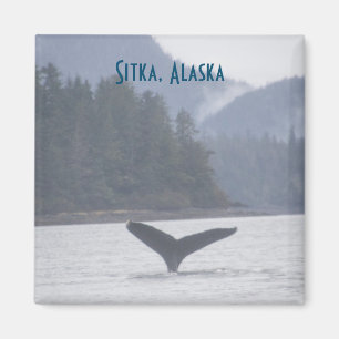 Imã Baleia - Cauda Sitka Alaska Magnet