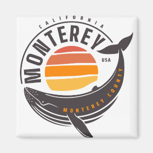 Imã Baleia da Califórnia em Monterey