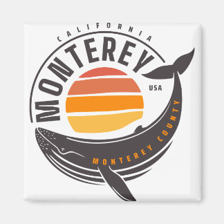 Imã Baleia da Califórnia em Monterey