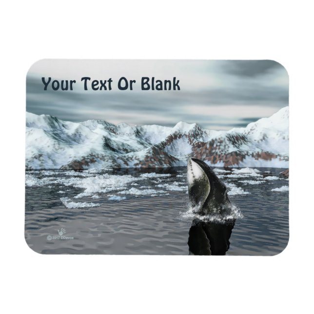 Ímã Baleia-de-cabeça (Horizontal)