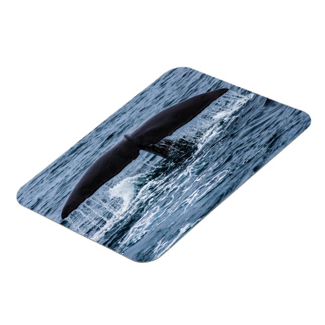 Ímã Baleia de esperma (Left Side)