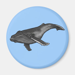 Imã baleia de humpback