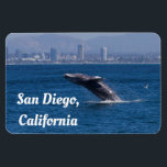 Ímã Baleia de Time San Diego, AC<br><div class="desc">Baleia de Cinzas magníficas se separando perto de San Diego, foto de CA por ruth jolly vê também produtos correspondentes. O texto é totalmente personalizável.Souvenir perfeito após uma viagem de observação à Baleia da Califórnia.</div>