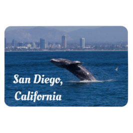 Ímã Baleia de Time San Diego, AC