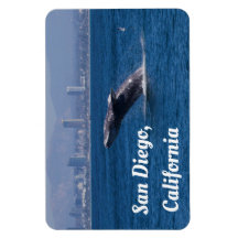 Baleia de Time San Diego, AC