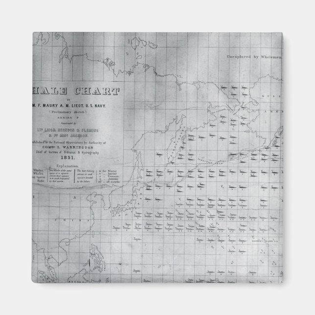 Imã Baleia do Pacífico Norte, 1851 (Frente)