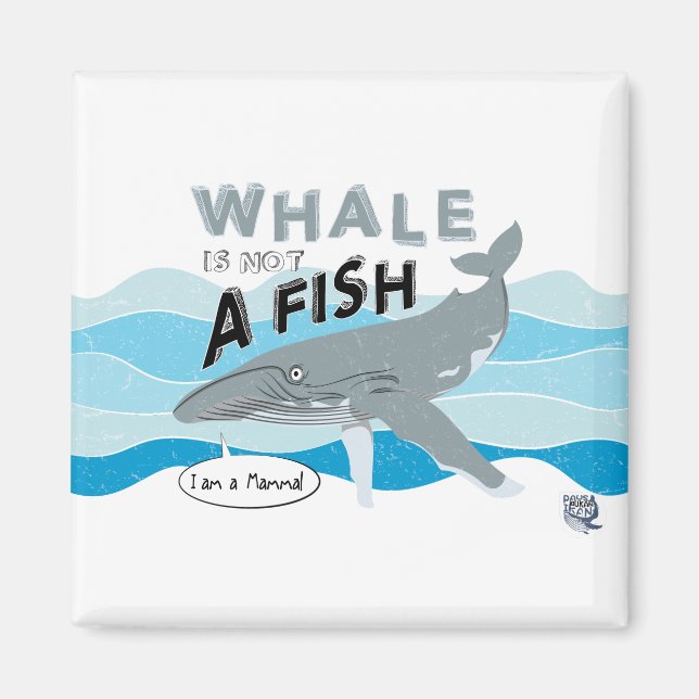 Imã Baleia não é um peixe (Frente)