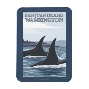 Ímã Baleias #1 da orca - ilha de San Juan, Washington