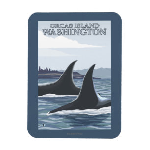 Ímã Baleias #1 da orca - orcas ilha, Washington