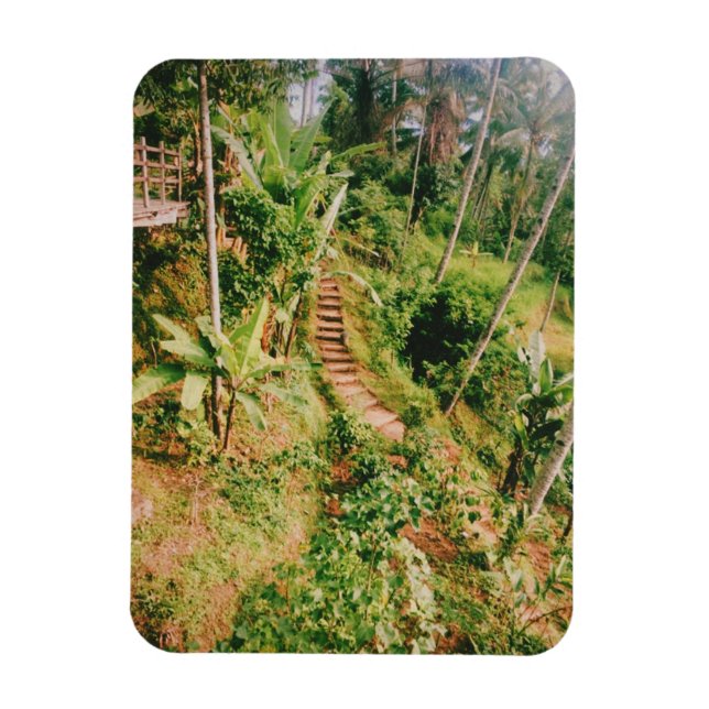 Ímã Bali, floresta tropical (Vertical)