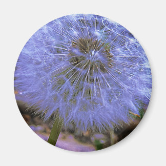 Imã Ball da meia-noite