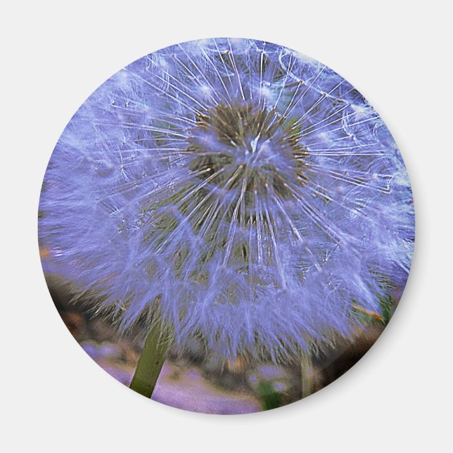 Imã Ball da meia-noite (Frente)