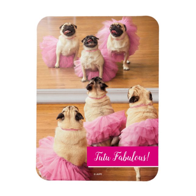 Ímã Ballerina Pugs Em Tutus (Vertical)