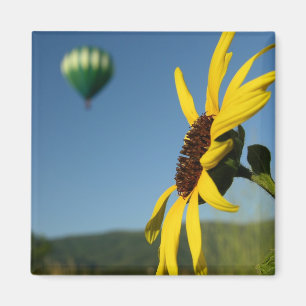 Imã Balloon