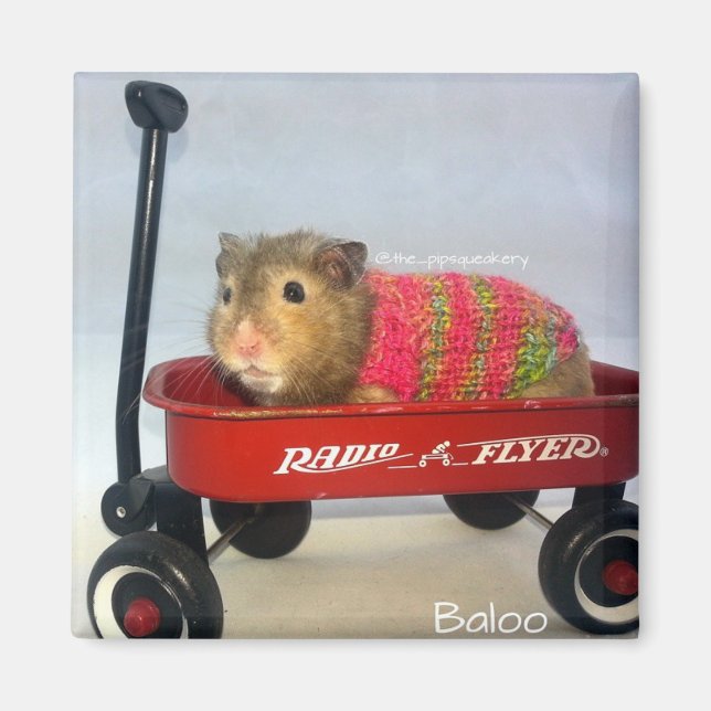 Imã Baloo em seu Vagão Vermelho (Frente)