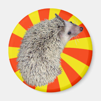 Imã BAM! Hedgehog Magnet 2
