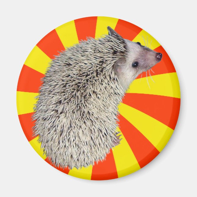 Imã BAM! Hedgehog Magnet 2 (Frente)