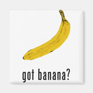 Imã Banana obtida?