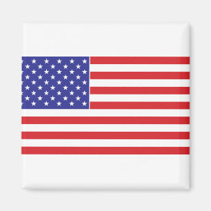 Imã Bandeira Americana