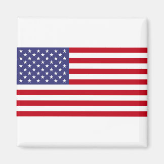 Imã Bandeira Americana