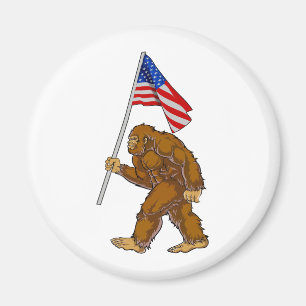 Imã Bandeira Americana