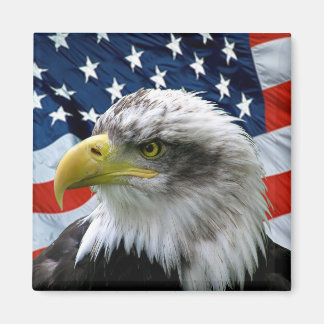 Imã Bandeira Americana Bald Patriótica