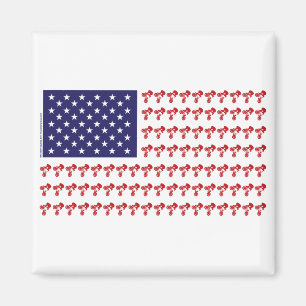Imã Bandeira Americana BMX Patriótica