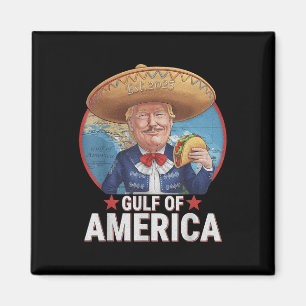 Imã Bandeira Americana Do Golfo De Eua No Leste De 202
