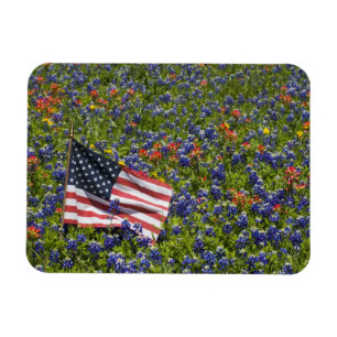Ímã Bandeira Americana em campo de Bonés Azuis, 2