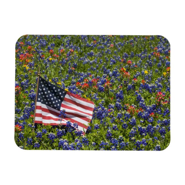 Ímã Bandeira Americana em campo de Bonés Azuis, 2 (Horizontal)