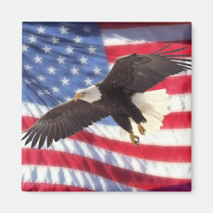 Imã Bandeira americana & ímã de Eagle