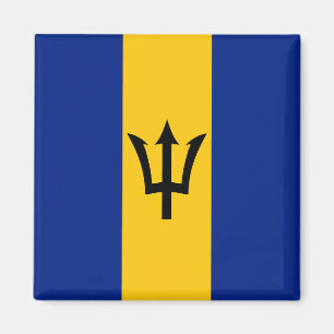 Imã Bandeira Barbados