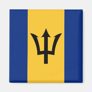 Imã Bandeira Barbados