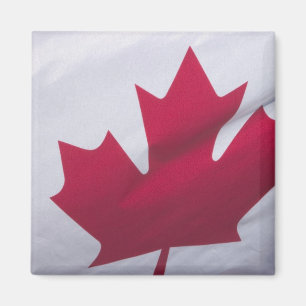 Imã Bandeira canadense.