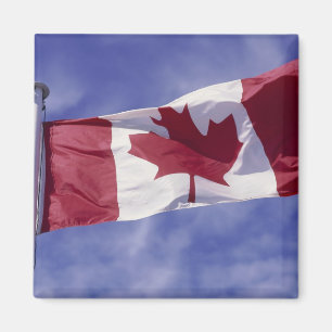Imã Bandeira canadense