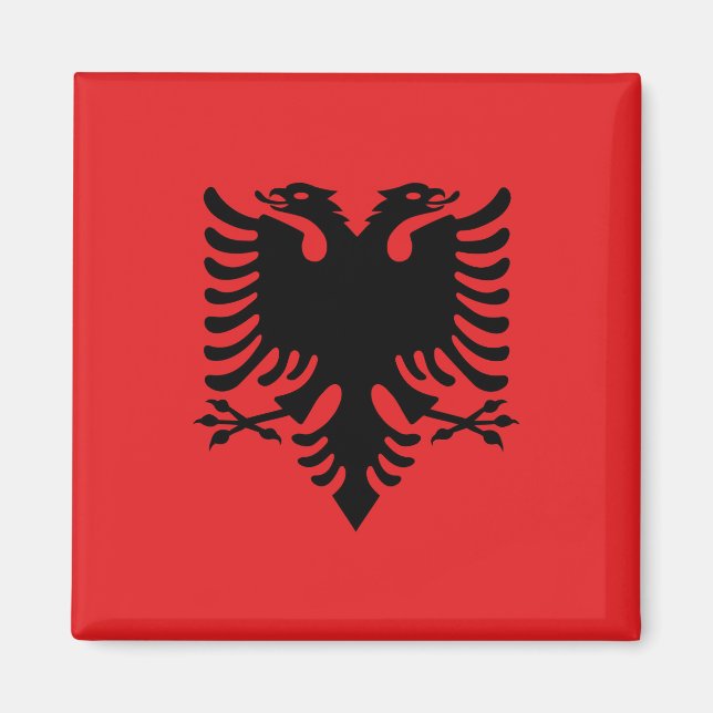 Imã Bandeira da Albânia (Frente)