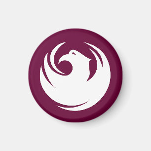 Imã Bandeira da Arizona da cidade de Phoenix