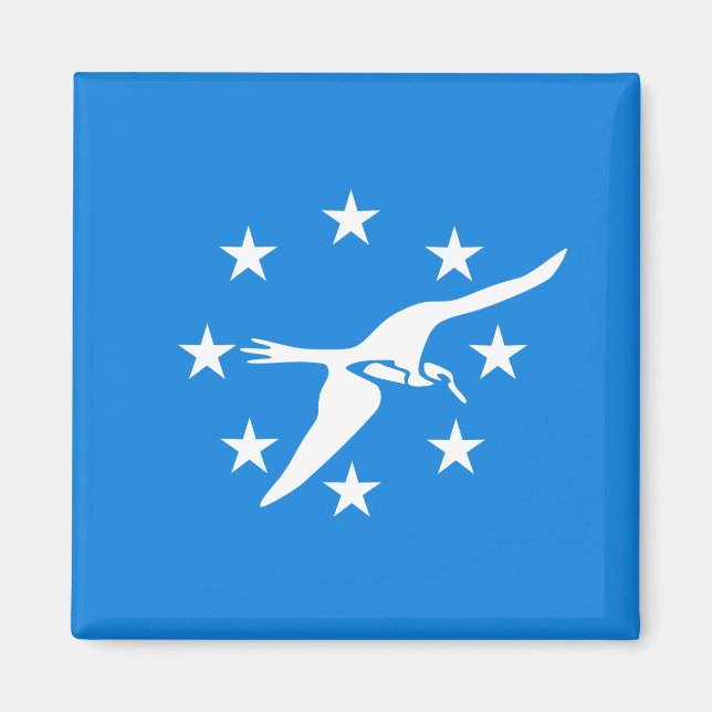 Imã Bandeira da Cidade de Corpus Christi (Texas) (Frente)