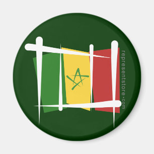 Imã Bandeira da escova de Senegal