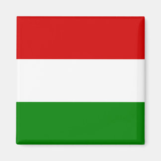 Imã Bandeira da Hungria